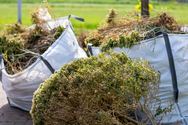 Best Same-Day Junk Removal  in Perth Amboy, NJ